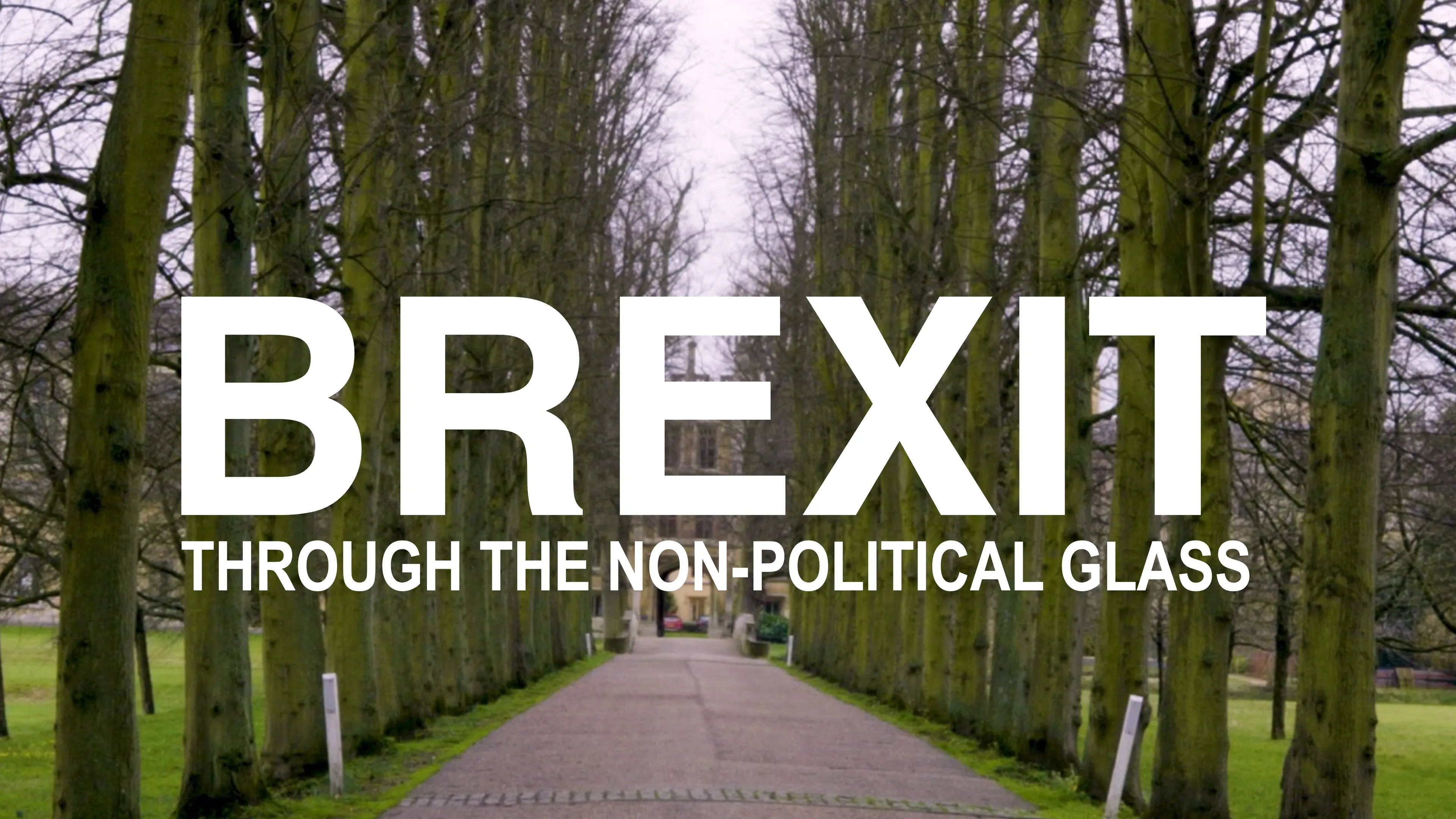 Brexit Through the Non-Political Glass poster